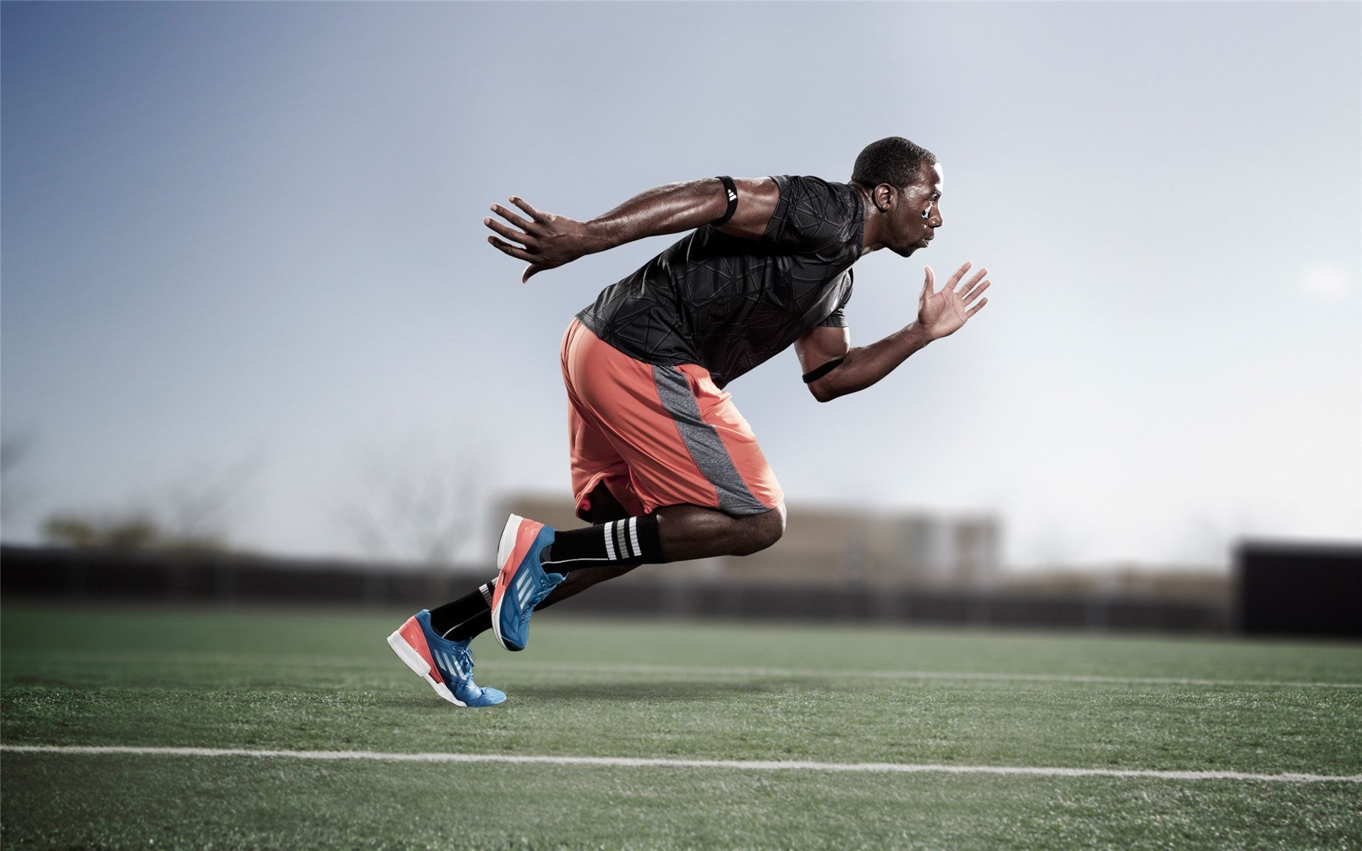 霍勒迪的无声革命，当国王在盐湖城遭遇爵士的钢铁意志